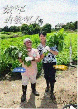 综艺夜谈老片新说